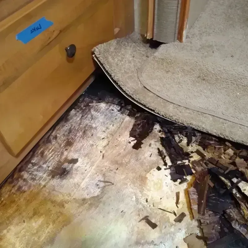 Wood Floor Water Damage in Cumberland County, NC